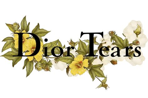 dior tears|Dior tremaine emory.